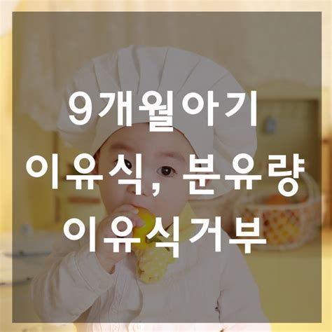 생후 9개월 아기발달 이유식양 이유식거부 분유량 네이버 블로그