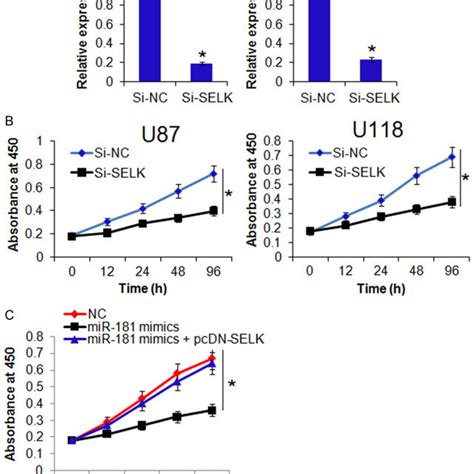 A Expression Of SELK In Si NC Or Si SELK Transfected U87 And U118