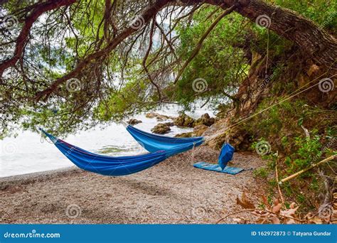 Hammocks On The Beach Stock Image Image Of Lifestyle 162972873