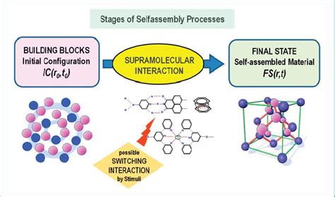 Conceptual Scheme Indicating The Main Stages Of The Self Assembly Download Scientific Diagram