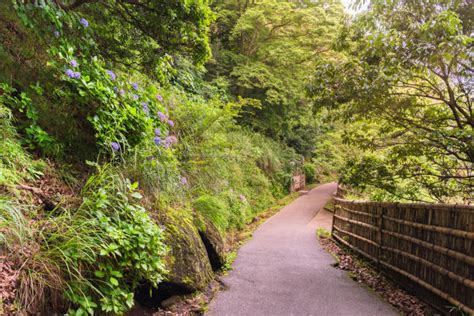 210 Futtsu Chiba Fotografías De Stock Fotos E Imágenes Libres De