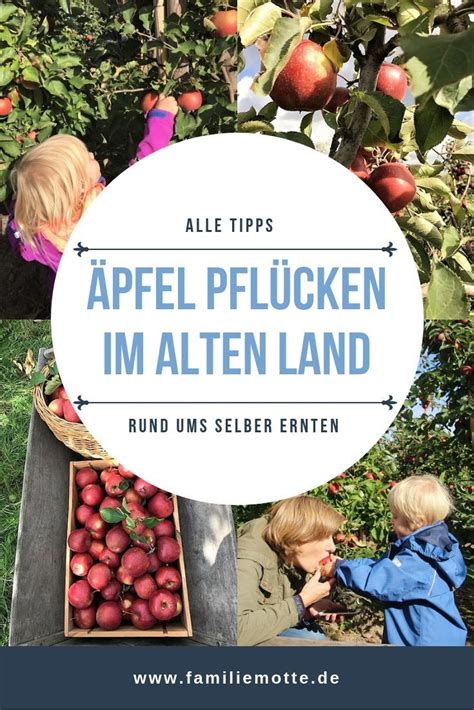 Pfel Pfl Cken Im Alten Land Liebgewonnenes Herbstritual Familie