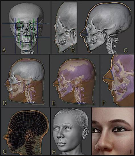 Facial Reconstruction Of King Tut Offers Look At The Egyptian King