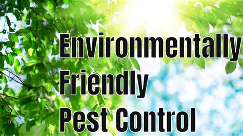 What Is The Most Environmentally Friendly 🌎 Pest Control Treatment Youtube