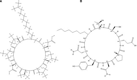 Frontiers Screening Of Tomato Seed Bacterial Endophytes For