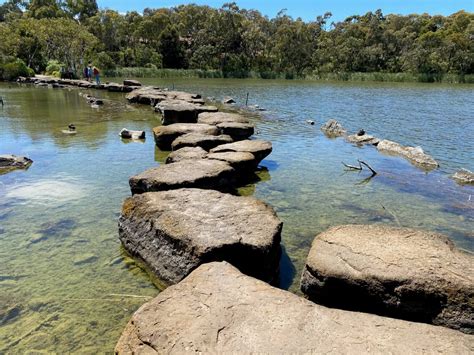 Newport Lakes Reserve Life In Melbourne