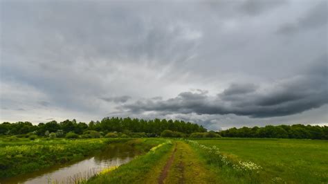 4k Wildflowers Hd Wallpaper Rare Gallery