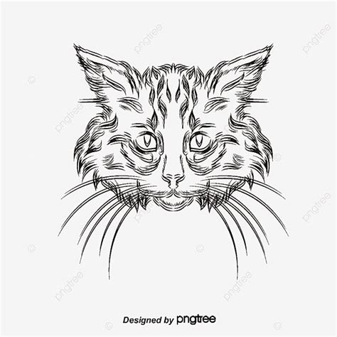 Painted Black Cat Head Vector Material Black And White Hand Painted