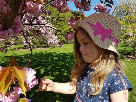 How To Enjoy Kew Gardens With Under 5s