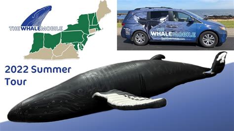 The Whalemobile 2022 Summer Tour Youtube