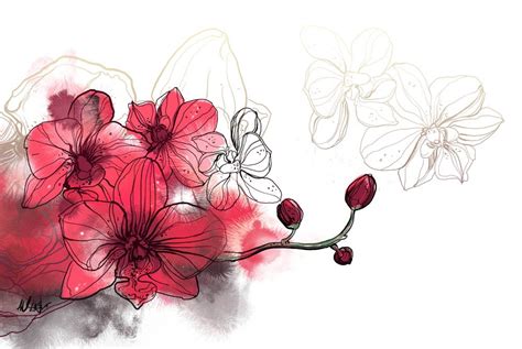 Keiko Mecheri perfumery on Behance