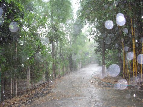 Janes Journal The Rainy Season In Thailand