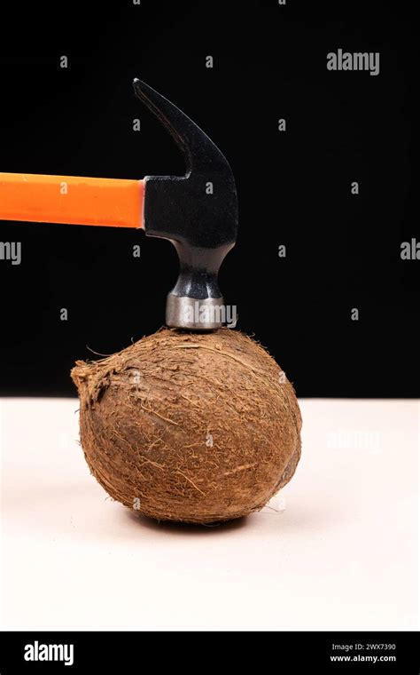 The process of breaking a coconut with a hammer. Ways to open a coconut ...