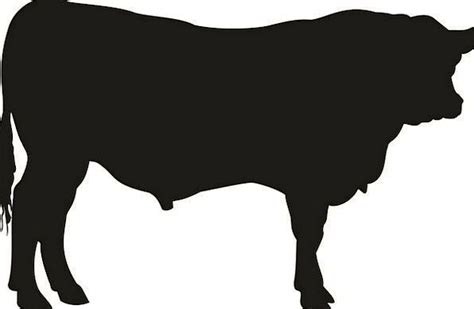 Angus Cow Silhouette at GetDrawings | Free download