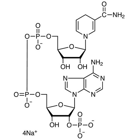 β Nicotinamide Adenine Dinucleotide Phosphate Tetrasodium