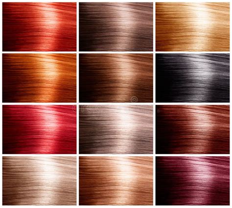 Palette De Couleurs De Cheveux Avec Une Gamme Des Chantillons Teintes