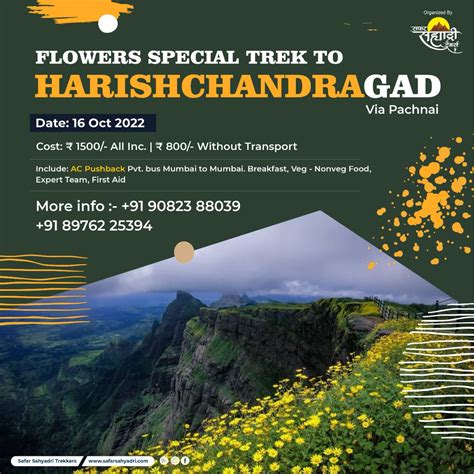 Flowers Special Harishchandragad Trek Safar Sahyadri Trekkers