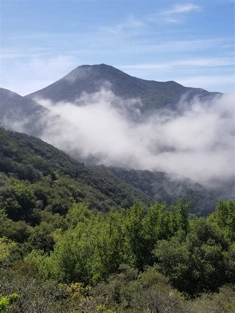 Arroyo Burro Trail — Channel Islands Restoration