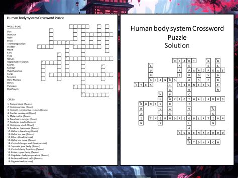 Human Body System Crossword Puzzle Worksheet Activity Teaching Resources