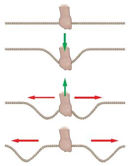 Transverse Waves Simulation - Juany's Science Blog