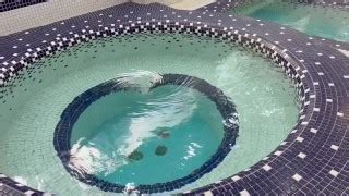 استخر Porn Videos Pornhub