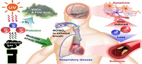 Biodegradable Implantable Sensor To Measure Bodily Functions