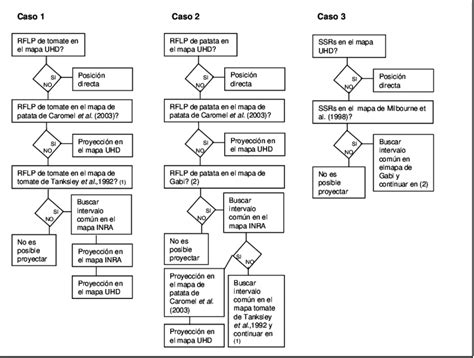 Diagrama Para La Toma De Decisiones