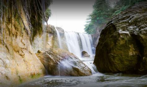 Air Terjun Kedung Maor Petualangan Di Tengah Hutan Air