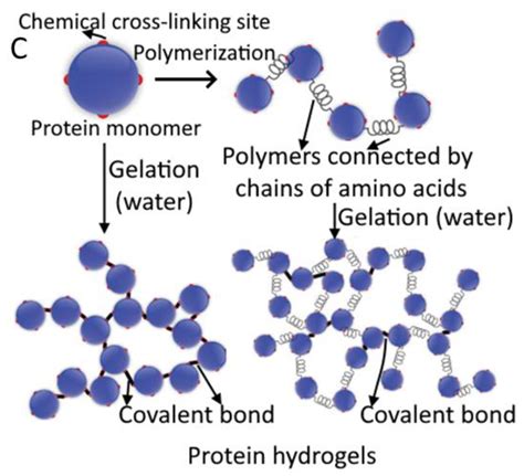 Gels Free Full Text A Comprehensive Review Of Food Hydrogels