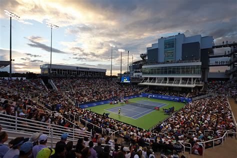 Cincinnati Open 2024 Semi Final Recap Perfect Tennis