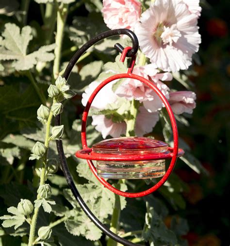 Best Small Glass Hummingbird Feeder With Red Perch New Bee And Wasp