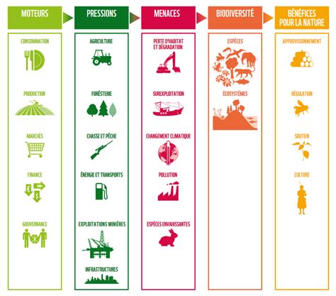 L iglou WWF Rapport Planète Vivante 2018