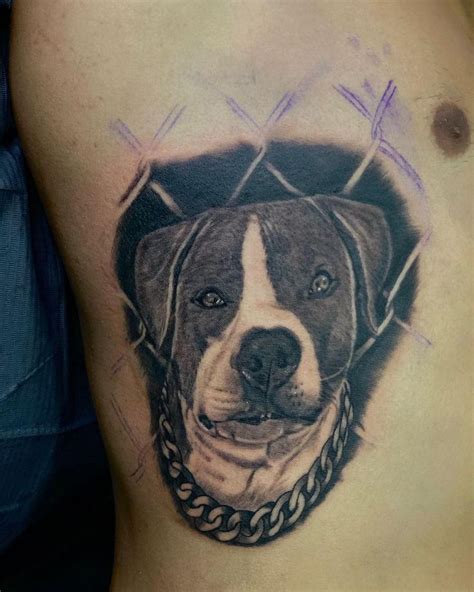 Pitbull Tattoo Design Pitbull Tattoo Ideas Pitbull Tattoo Outline