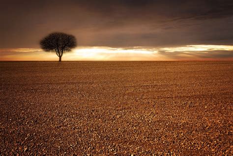 Free Images Landscape Sea Tree Nature Sand Horizon Cloud Sky Sun Sunrise Sunset