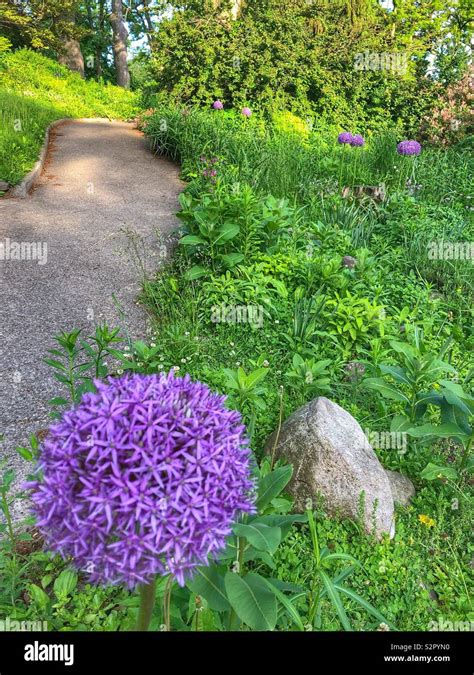 Follow The Path Through Lush Gardens In High Park Toronto Canada