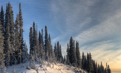 Rabbit Ears Pass, Colorado - AllTrips