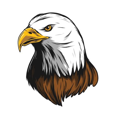 Eagle Head Clip Art