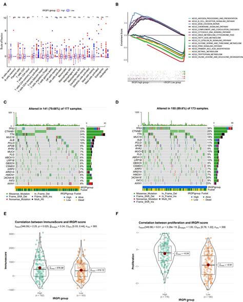 Tumor Immune Environment Somatic Mutation Landscape And Immune