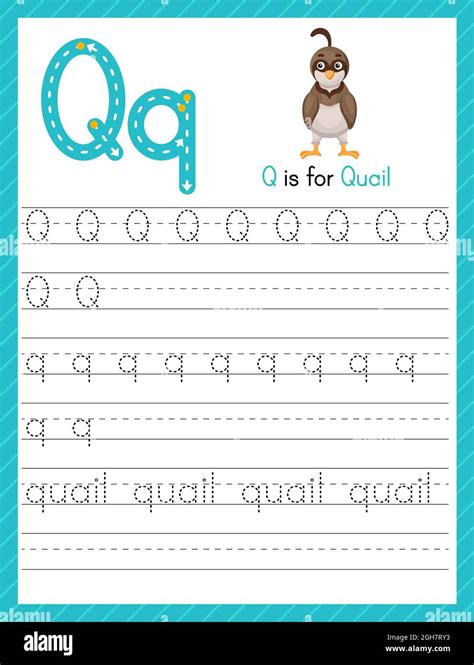 Trace Letter Q Uppercase And Lowercase Alphabet Tracing Practice