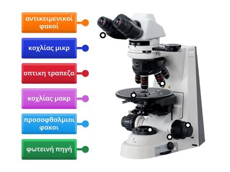 microscope - Labelled diagram