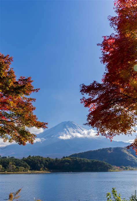 Fuji Five Lakes Area | Yamanashi | Tokai | Destinations | Travel Japan ...