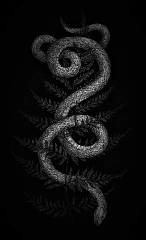 Wallpaper || Background | Sfondi, Serpente, Foto