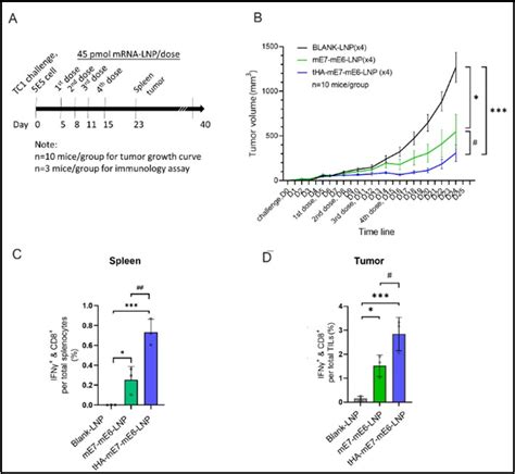 Virogin Announces Its Publication Of HPV MRNA Cancer Vaccine Expressing