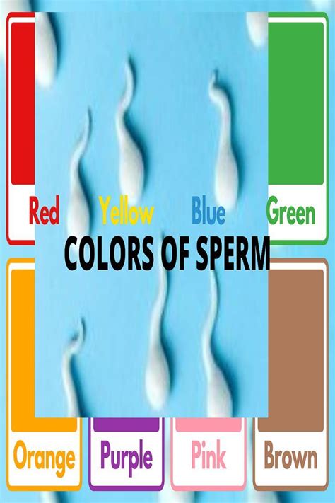 The 5 Colors Of Sperm Sperm Color Male Fertility