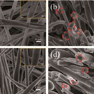 SEM Images Of The Surface And Cross Section Of Coaxial Fibres A And