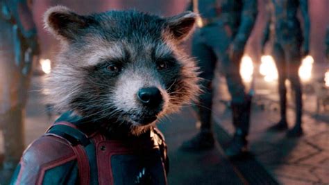 ‘guardians Of The Galaxy Vol 3 A Talking Raccoon Made Me Cry News