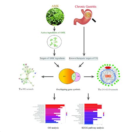 Flowchart Of A Network Pharmacology Based Strategy To Investigate The