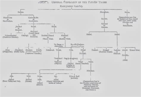 History of Pashtuns and tribals: Pashtun OR Pathan Tribes