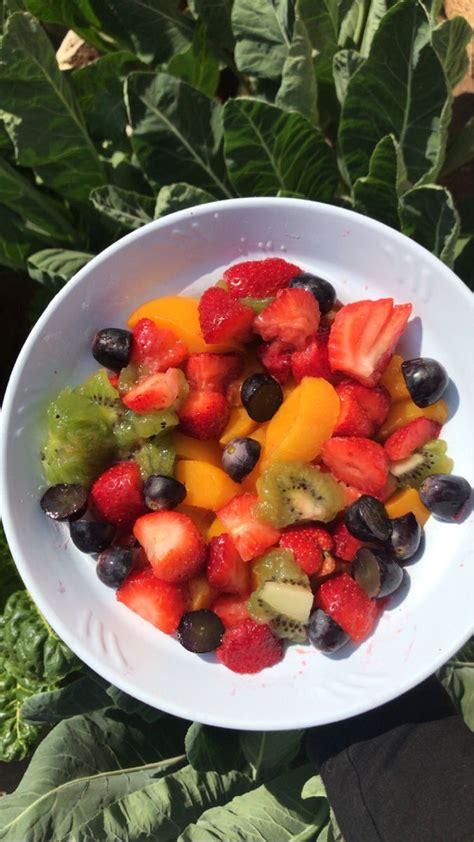 Summer Fruit Bowl Summer Salads With Fruit Aesthetic Food Healthy Food Motivation