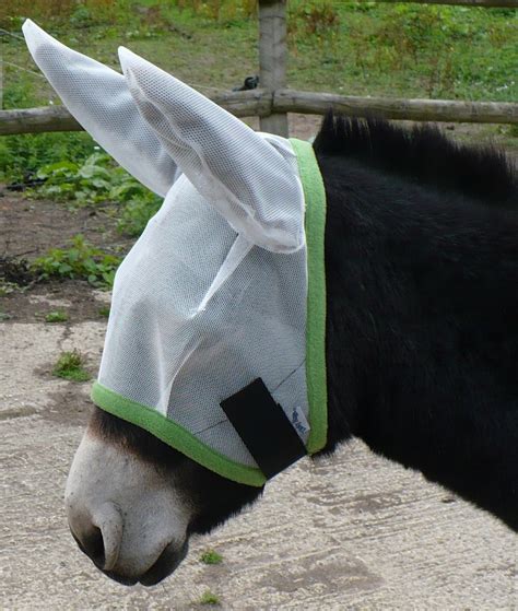 Dinky Deluxe Donkey Fly Mask With Ears